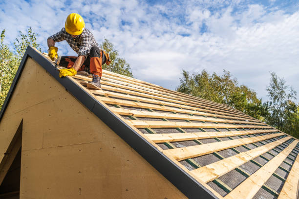 Best Local Roofing Companies  in Winner, SD