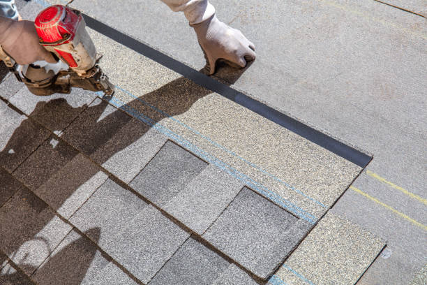 Best Metal Roofing Contractor  in Winner, SD
